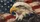 Bald Eagle American Flag Americana Patriotic Decor For Veterans And Fourth Of July Car Sunshade - 6