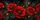 Crimson Red Poppy Floral On Charcoal Black For Summer Road Trips And Garden Lovers Car Sunshade - 6