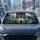 Gray Wolf With Icy Blue Eyes In Smoky Forest For Summer Road Trips Wildlife Lovers Car Sunshade - 2
