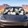 Monochrome Hand Drawn Cat Crowd Folk Art For Playful Pet Lovers On Everyday Drives Car Sunshade - 5