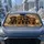 Four Realistic Dachshund Puppies Warm Taupe Full Bleed Decor Gift For Dog Lovers Car Sunshade - 2