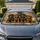 Four Realistic Dachshund Puppies Warm Taupe Full Bleed Decor Gift For Dog Lovers Car Sunshade - 1