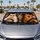 Chaotic Cat Road Trip Crew With Sunglasses And Top Hat For Travel Laughs And Pet Lovers Car Sunshade - 2