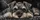 Realistic Gray Schnauzer Puppy Portrait On Black Charcoal Decor For Dog Lovers Gift Car Sunshade - 6