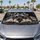 Realistic Gray Schnauzer Puppy Portrait On Black Charcoal Decor For Dog Lovers Gift Car Sunshade - 2