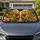 Cute Sloth Couple In Tropical Flowers For Summer Road Trips And Nature Lovers Gift Car Sunshade - 1