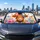 Rainbow Bow Highland Calf With Wildflowers And Butterflies For Cottagecore Road Trips Car Sunshade - 5