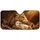 Crowned Lion And Sleeping Lamb Golden Religious Animal Decor For Faith Inspired Drivers Car Sunshade - 3
