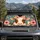 Cute Cow With Pink Bow And Floral Crown For Farmhouse Decor And Country Girl Style Car Sunshade - 2