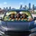 Three Dachshunds With Straw Hat And Pink Sunglasses For Summer Road Trip Dog Lovers Car Sunshade - 5