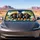 Three Dachshunds With Straw Hat And Pink Sunglasses For Summer Road Trip Dog Lovers Car Sunshade - 2