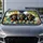 Three Dachshunds With Straw Hat And Pink Sunglasses For Summer Road Trip Dog Lovers Car Sunshade - 4