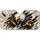 Bald Eagle Tearing Through Claw Rips Patriotic Road Trip Decor For Truck Enthusiasts Car Sunshade - 4