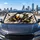 Bald Eagle Tearing Through Claw Rips Patriotic Road Trip Decor For Truck Enthusiasts Car Sunshade - 5