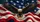 Patriotic Bald Eagle With American Flag Waves For Veterans And USA Freedom Lovers Car Sunshade - 6