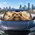 Cute Sloth Heart With Tropical Leaves For Animal Lovers And Cozy Summer Road Trips Car Sunshade - 5