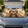 Cute Sloth Heart With Tropical Leaves For Animal Lovers And Cozy Summer Road Trips Car Sunshade - 1