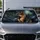 Realistic German Shepherd Portrait With Blue Gray Forest Glow For Dog Lovers On Road Trips Car Sunshade - 5