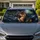 Realistic German Shepherd Portrait With Blue Gray Forest Glow For Dog Lovers On Road Trips Car Sunshade - 1