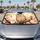 Adorable Cherry Blossom Owl With Amber Eyes Spring Nature Decor Gift For Bird Lovers Car Sunshade - 4