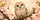 Adorable Cherry Blossom Owl With Amber Eyes Spring Nature Decor Gift For Bird Lovers Car Sunshade - 6
