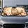 Adorable Cherry Blossom Owl With Amber Eyes Spring Nature Decor Gift For Bird Lovers Car Sunshade - 5