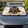 German Shepherd Puppy Torn Paper Peek For Dog Lovers Travel Decor And Daily Drives Car Sunshade - 1