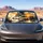 Gray Wolf Forest Sunset Watercolor Wilderness Decor For Nature Lovers And Campers Car Sunshade - 4