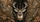 Ivory Whitetail Buck With Woodland Camo For Hunting Season Outdoor Enthusiasts Fans Car Sunshade - 6
