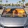 Free Running Horses In Ocean Sunset For Coastal Western Road Trips And Equestrian Fans Car Sunshade - 4