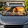 Free Running Horses In Ocean Sunset For Coastal Western Road Trips And Equestrian Fans Car Sunshade - 1
