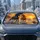 Free Running Horses In Ocean Sunset For Coastal Western Road Trips And Equestrian Fans Car Sunshade - 2