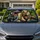 Dinosaur Passenger Jungle Chaos Road Trip Novelty Decor For Dino Fans And Kids Alike Car Sunshade - 1