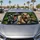 Dinosaur Passenger Jungle Chaos Road Trip Novelty Decor For Dino Fans And Kids Alike Car Sunshade - 5