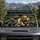 Dinosaur Passenger Jungle Chaos Road Trip Novelty Decor For Dino Fans And Kids Alike Car Sunshade - 2