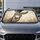 Realistic Grinning Gray Donkey Face Farmhouse Rustic Humor Gift For Animal Lovers Car Sunshade - 4