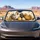 Whimsical Fluffy Chicken Family With Scratchy Ink Farmhouse Decor For Poultry Lovers Car Sunshade - 4