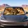 Realistic Brown Black Tabby Cat On Cream Sherpa Blanket Cozy Cabin Decor For Cat Lovers Car Sunshade - 4