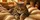 Realistic Brown Black Tabby Cat On Cream Sherpa Blanket Cozy Cabin Decor For Cat Lovers Car Sunshade - 6