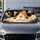 Happy Calico Kitten On Dreamy Clouds With Golden Stars Night Sky For Cute Cat Lovers Car Sunshade - 4