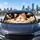 Happy Calico Kitten On Dreamy Clouds With Golden Stars Night Sky For Cute Cat Lovers Car Sunshade - 5