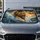Roaring Lion Charging Through Stormy Ocean Waves For Bold Coastal Safari Wildlife Fans Car Sunshade - 5