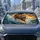 Roaring Lion Charging Through Stormy Ocean Waves For Bold Coastal Safari Wildlife Fans Car Sunshade - 2