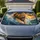 Roaring Lion Charging Through Stormy Ocean Waves For Bold Coastal Safari Wildlife Fans Car Sunshade - 1