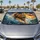 Roaring Lion Charging Through Stormy Ocean Waves For Bold Coastal Safari Wildlife Fans Car Sunshade - 4