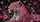 duiyfppz/products/6a4b1642547eba37c161cc69/gallery/tJh0fTsFxw