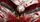duiyfppz/products/6a4b1774dba23acca10efbd6/gallery/QEFfGCdVUU