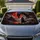 duiyfppz/products/6a4b18192e6f0f6c29effce3/gallery/OdlqUrHo6q