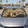 duiyfppz/products/6a4b18f32e6f0f6816effe06/gallery/lY1c-t9YOI