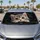 duiyfppz/products/6a4b1944f8b8357154b0f6be/gallery/4aThmf5Adl